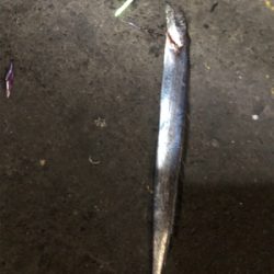 まったりタッチ〜チャレンジ