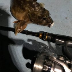 樋島ランガンリベンジ