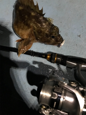 樋島ランガンリベンジ