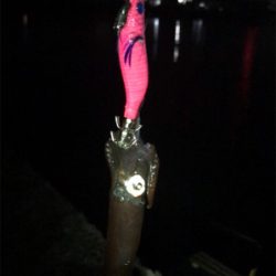 雰囲気は良かったのに…劇渋ヒイカ釣り(><)