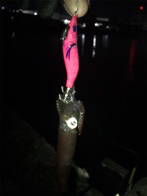 雰囲気は良かったのに…劇渋ヒイカ釣り(><)