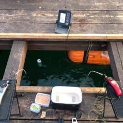 生野銀山 ワカサギ釣り①