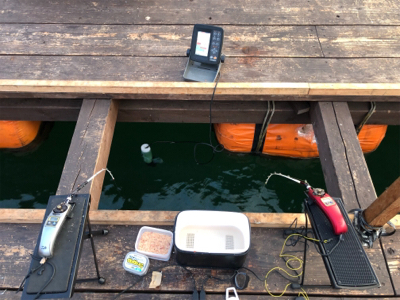 生野銀山 ワカサギ釣り①