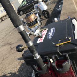 魚種限定解除！