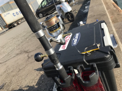 魚種限定解除！