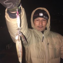 ヒイカまだまだ楽しめる☆GUNNING-STYLE