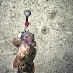 色々とかかるが、、、