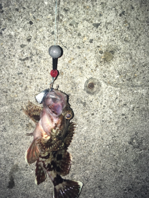 色々とかかるが、、、