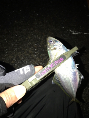 大潮なのに海面穏やか