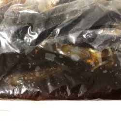 念願のヒイカ沖漬け!