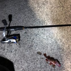 ナイトロックフィッシュゲーム