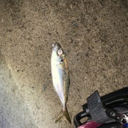 フロートメバル！