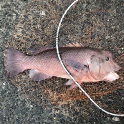 ビック/スモール