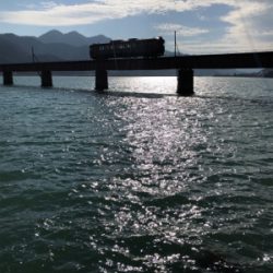 何とか釣れました