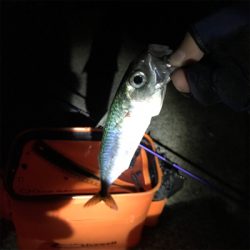 ライトゲーム日和