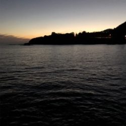 夕まずめ。粘ってトンカツサイズ