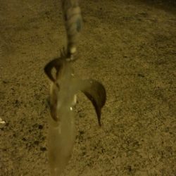 ヒイカエギング終盤