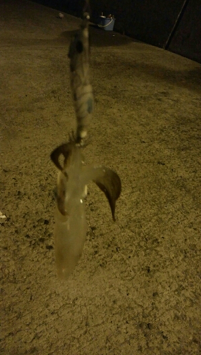 ヒイカエギング終盤