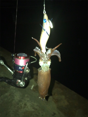 寂しい釣果(＞＜)