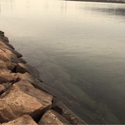 寒空の下、貴重な1匹！