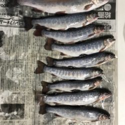 朽木渓流魚センター