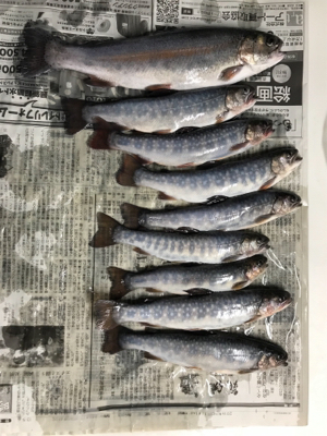 朽木渓流魚センター