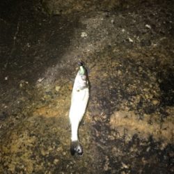 癒しのライトゲーム