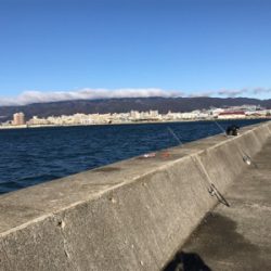 今年最後のノマセ釣り