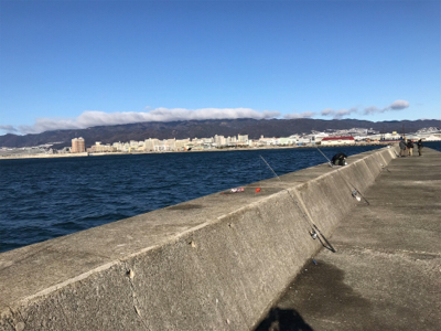 今年最後のノマセ釣り