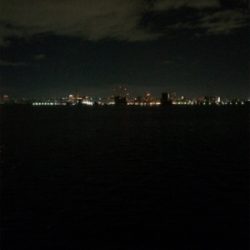 釣り納め その２