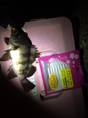 なんとか竿納まってよかった笑