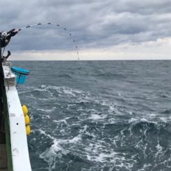 孝洋丸 落とし込み