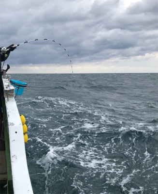 孝洋丸 落とし込み