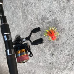 釣り納め タコ狙い