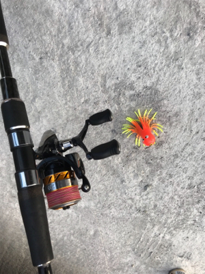 釣り納め タコ狙い