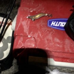 はじめてのヒイカ