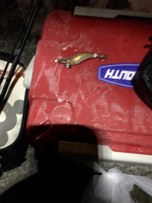 はじめてのヒイカ