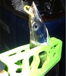 柳タチウオ?って言うの⁇