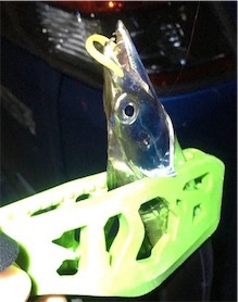 柳タチウオ？って言うの⁇