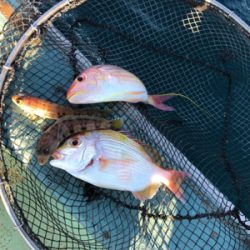 やりました‼︎