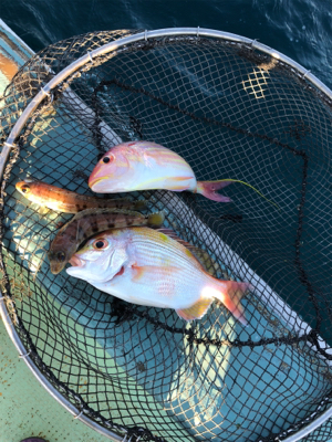 やりました‼︎