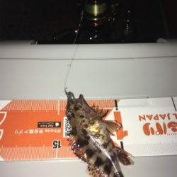 大晦日からの〜