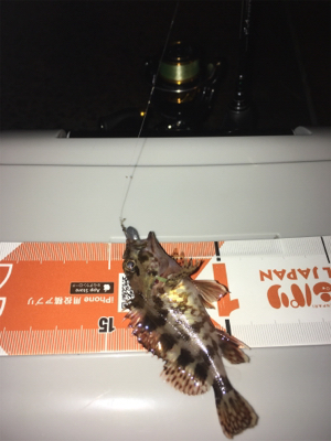 大晦日からの〜