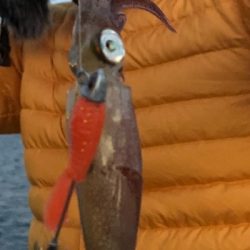 ライトエギング