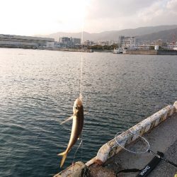 タチウオ釣れたけど