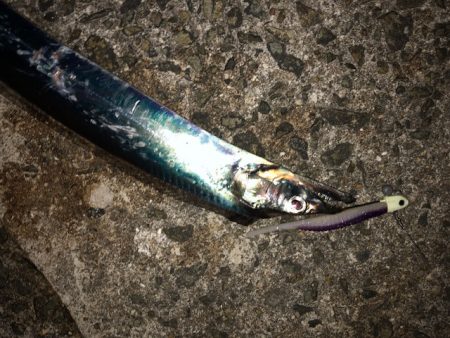 武庫一ワインド