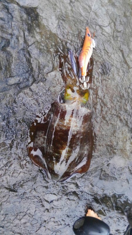 雨の修行調査‼