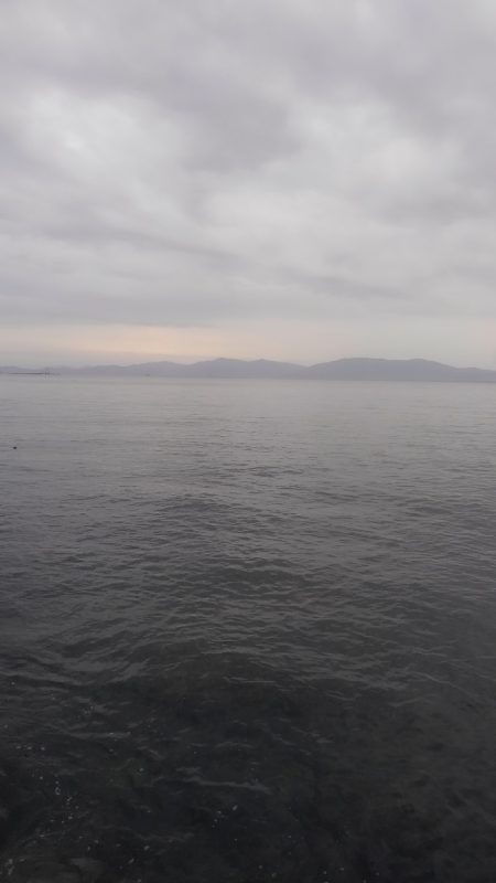 3ヒット中1キャッチだけでした～