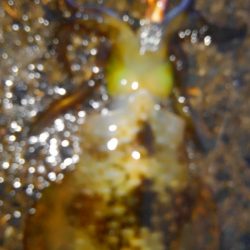 久々300g アップ⤴⤴