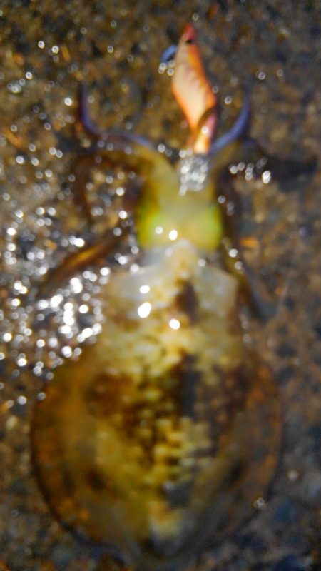 久々300g アップ⤴⤴